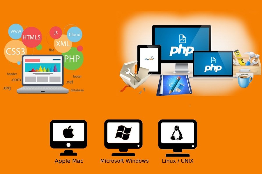 Tarsus Web Tasarım & Yazılım